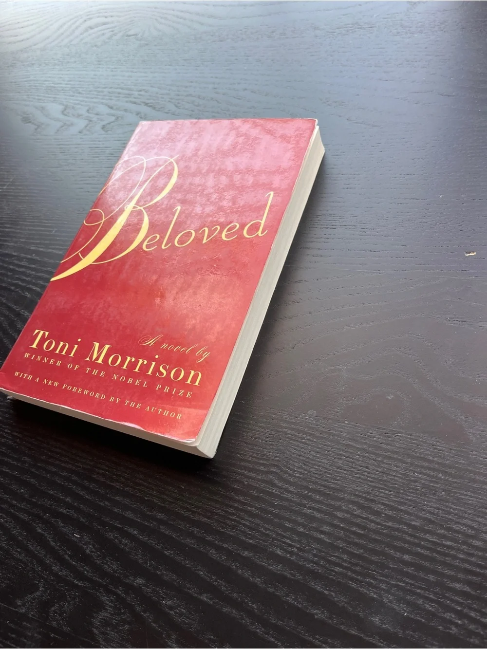 Vintage International Beloved Toni Morrison Paperback Red Book Approx 8 Inch